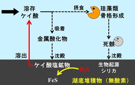 研究概要の図、写真1