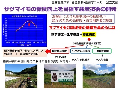 研究概要の図、写真1