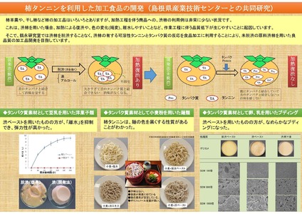 研究概要の図、写真1