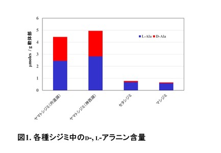 研究概要の図、写真1