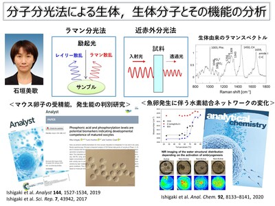 研究概要の図、写真1