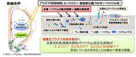 研究概要の図、写真1