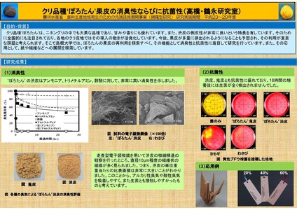 研究概要の図、写真2