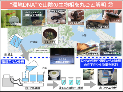 研究概要の図、写真2