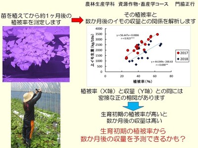 研究概要の図、写真2